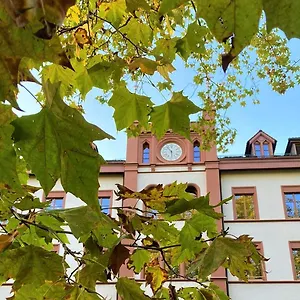 Odelya - Stadthotel Im Park 3*, Basilea Suiza